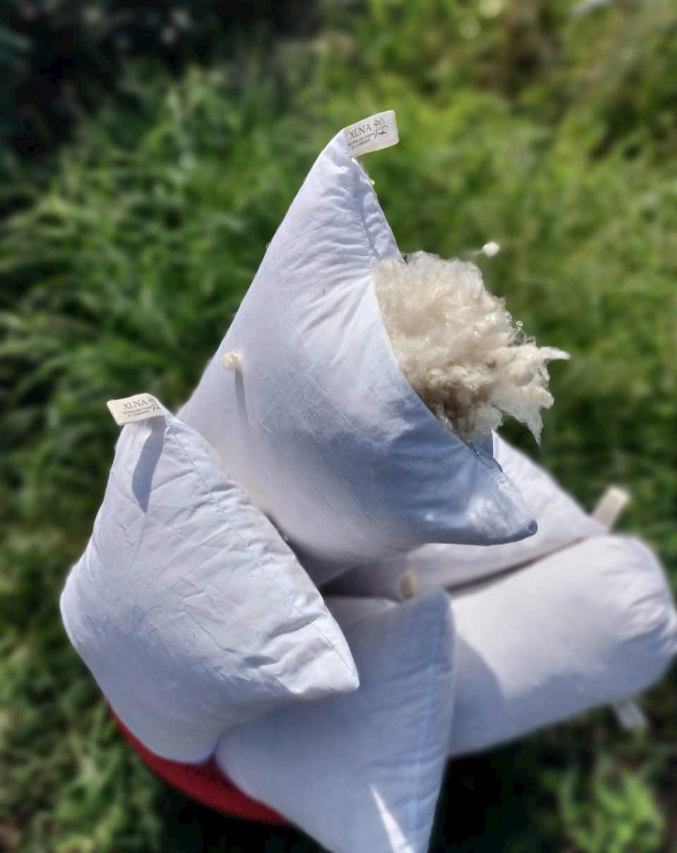 Kapok Pillow Insert
