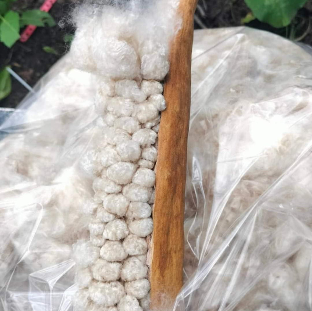 Kapok Pillow Insert