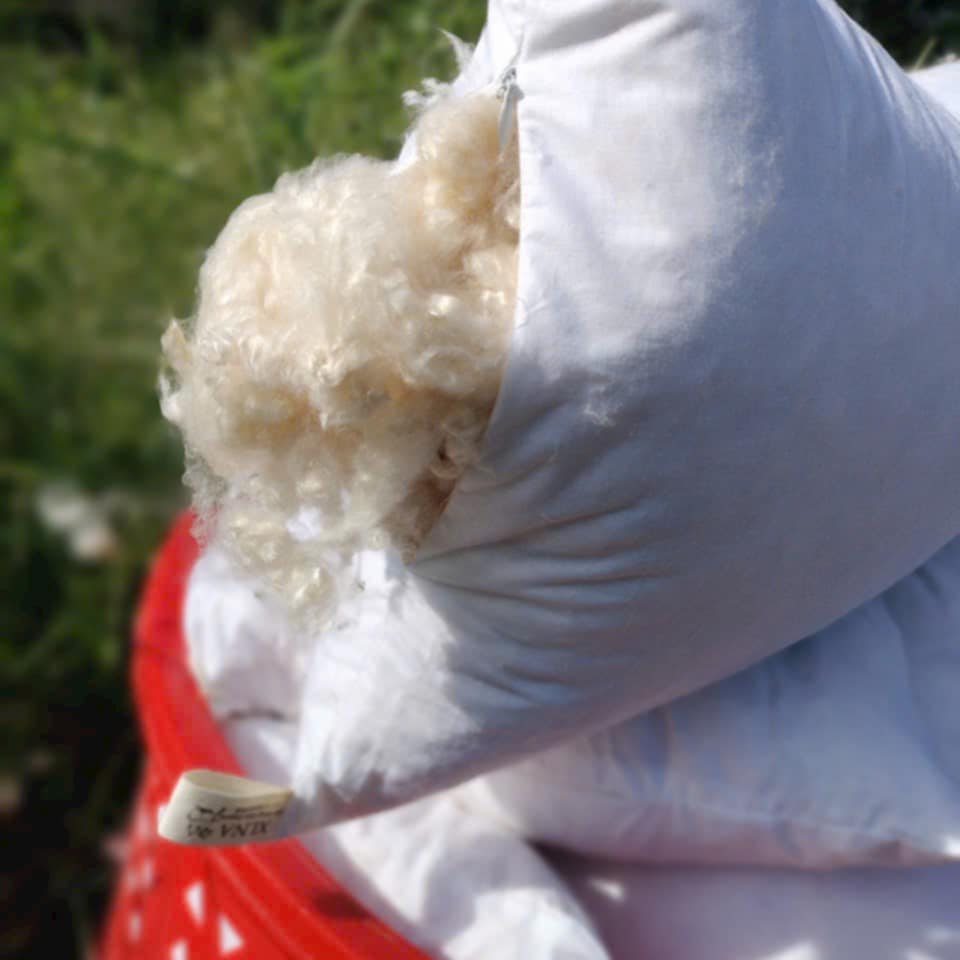 Kapok Pillow Insert
